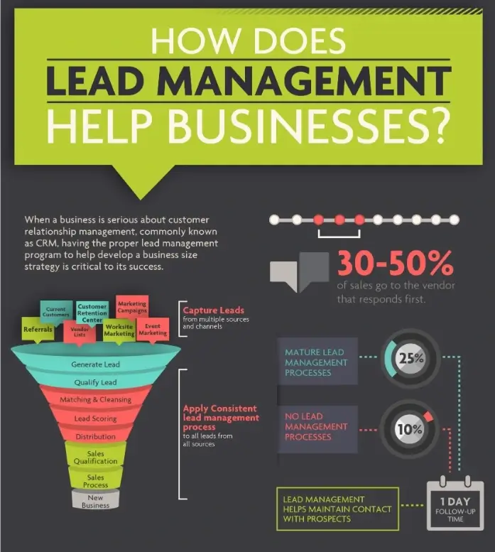 infographic for Leads vs. Sales