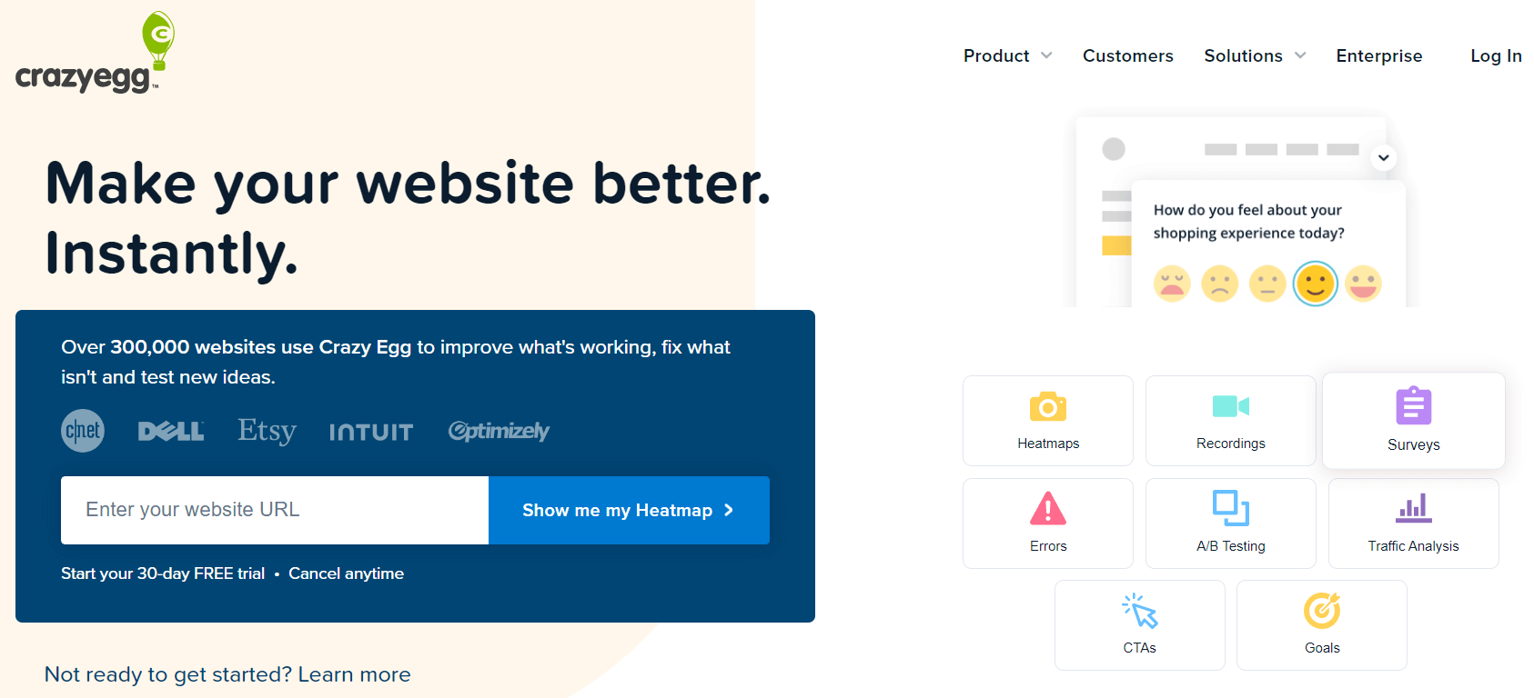 Crazy Egg homepage